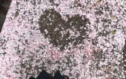 文案: 任何时候都可以发的文案