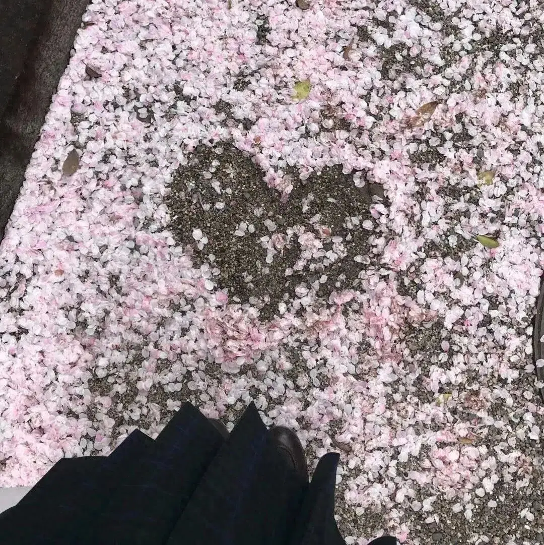 文案: 任何时候都可以发的文案