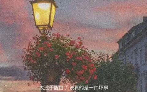 高质量朋友圈文案