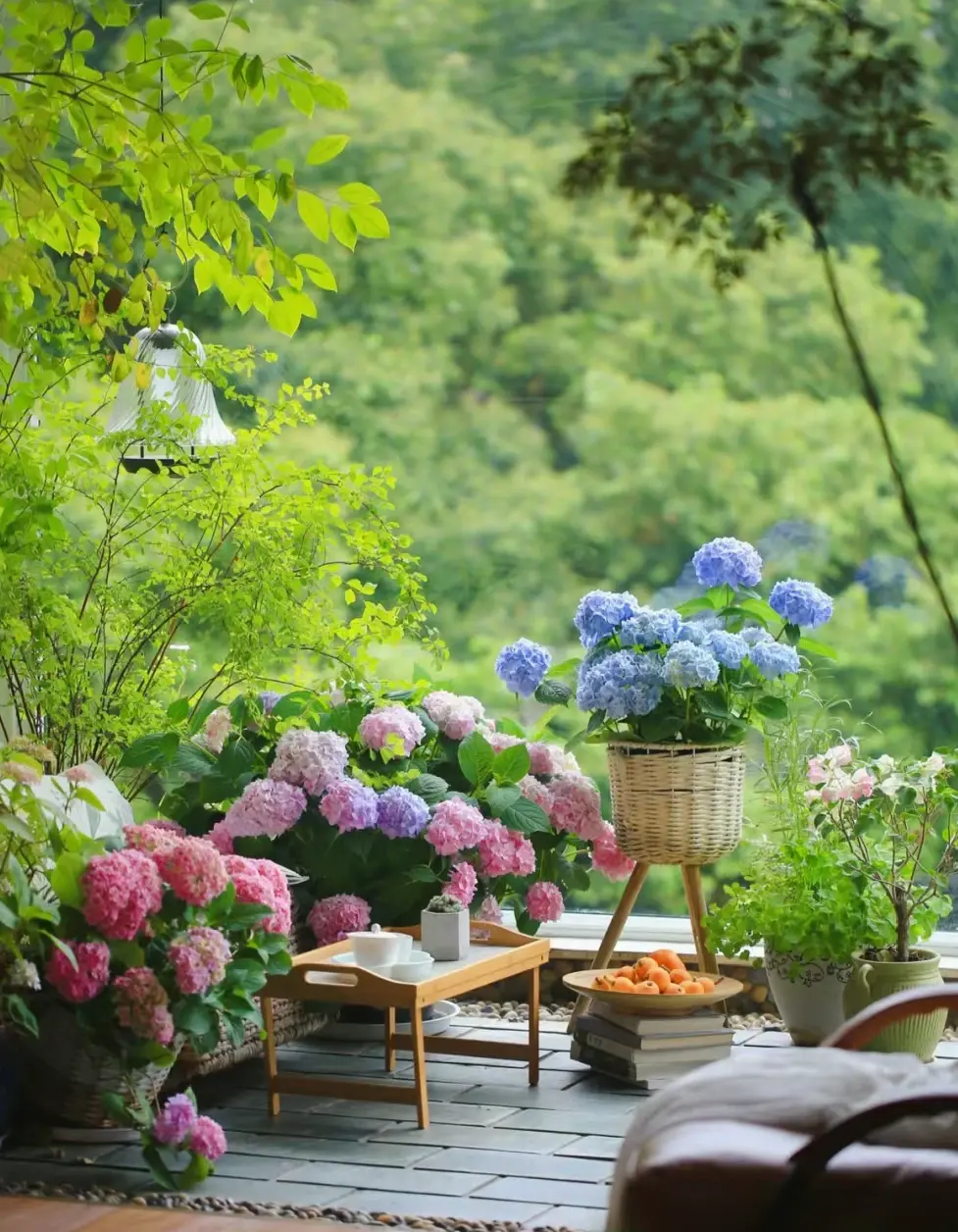 30句适合五月的诗意文案，愿所有的美好都如约而至