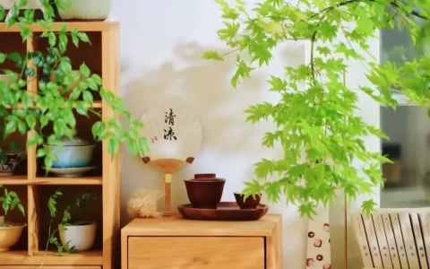 每日一句早安朋友圈问候语集锦42句