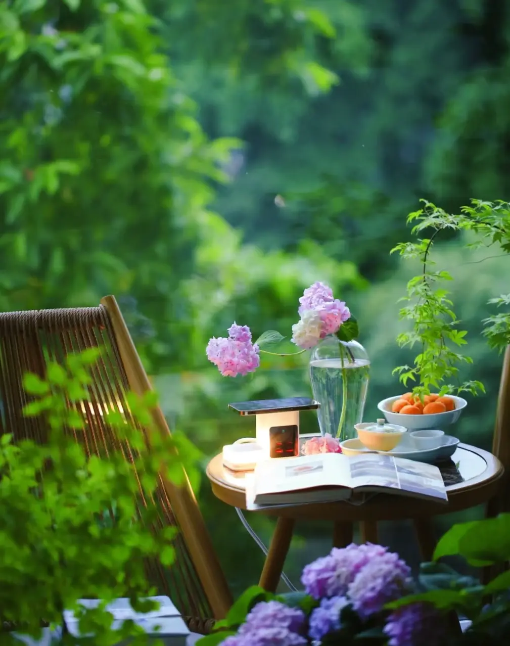 30句适合五月的诗意文案，愿所有的美好都如约而至