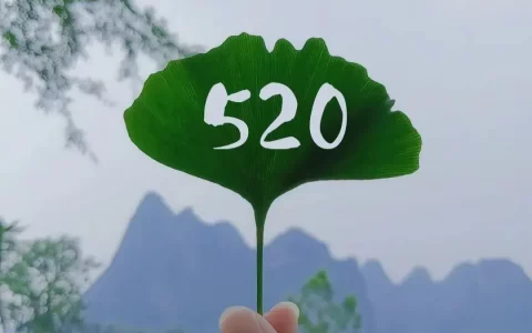 520不知怎么发朋友圈？这100句很甜、走心的文案，拿去表白吧！