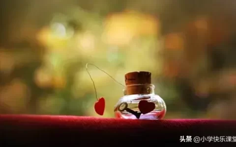 生活心情文案50条，看淡是种智慧，看开便是人生
